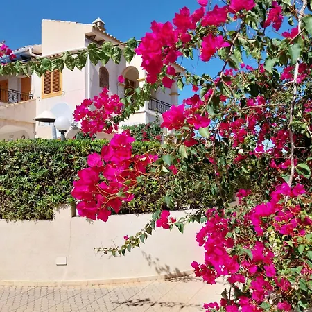 Paraiso La Mata Appartement *