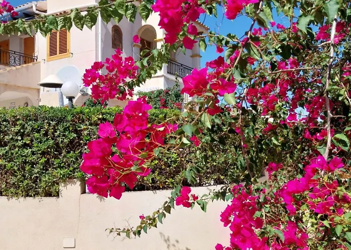 Paraiso La Mata Lejlighed *